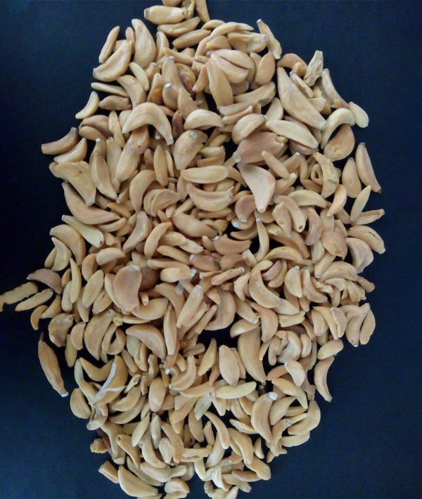 DEHYDRATED GARLIC FLAKES