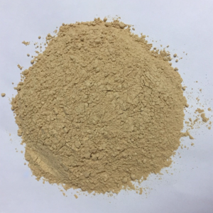 DEHYDRATED GARLIC POWDER