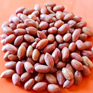 GROUNDNUT PEANUTS (BOLD AND JAVA)