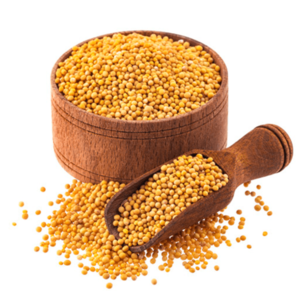 YELLOW MUSTARD SEEDS